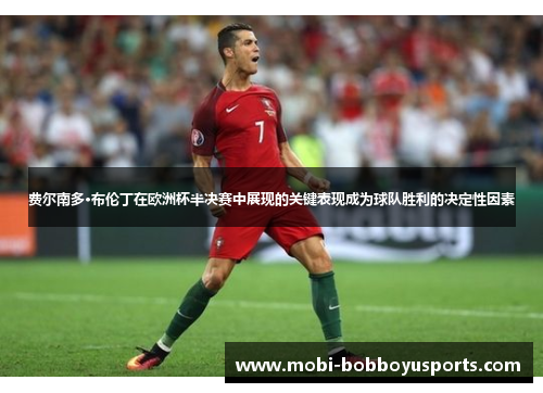 费尔南多·布伦丁在欧洲杯半决赛中展现的关键表现成为球队胜利的决定性因素