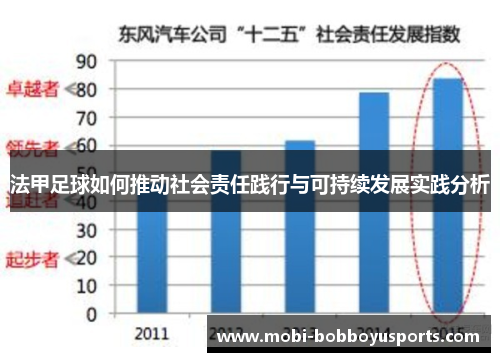 法甲足球如何推动社会责任践行与可持续发展实践分析