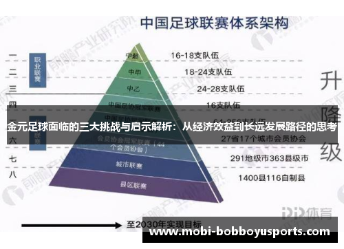 金元足球面临的三大挑战与启示解析：从经济效益到长远发展路径的思考
