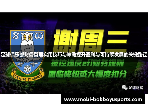 足球俱乐部财务管理实用技巧与策略提升盈利与可持续发展的关键路径