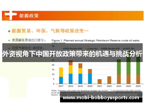 外资视角下中国开放政策带来的机遇与挑战分析