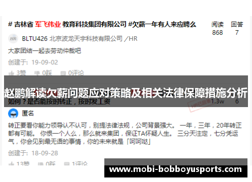 赵鹏解读欠薪问题应对策略及相关法律保障措施分析