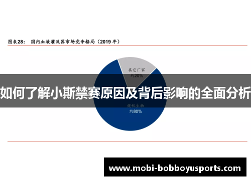 如何了解小斯禁赛原因及背后影响的全面分析