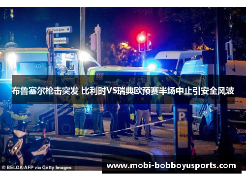 布鲁塞尔枪击突发 比利时VS瑞典欧预赛半场中止引安全风波
