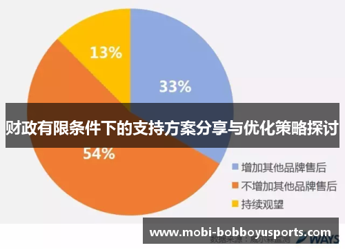 财政有限条件下的支持方案分享与优化策略探讨