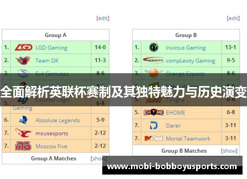 全面解析英联杯赛制及其独特魅力与历史演变