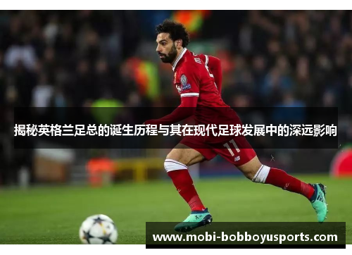 揭秘英格兰足总的诞生历程与其在现代足球发展中的深远影响