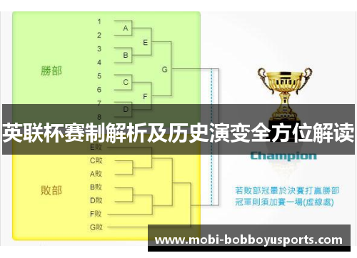 英联杯赛制解析及历史演变全方位解读